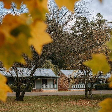 Federation Gardens & Possums Hideaway Villa Blackheath Kültér fotó