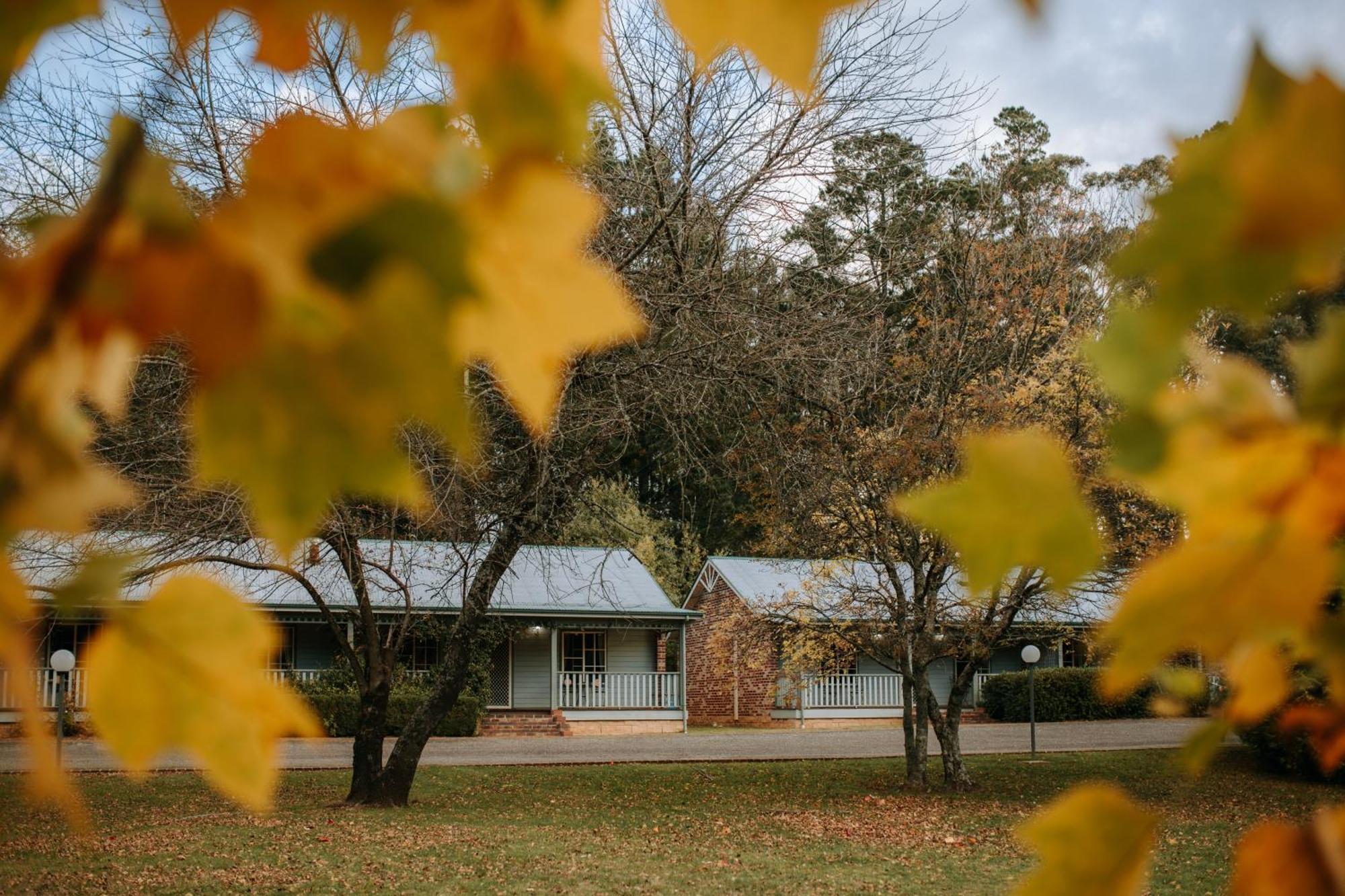 Federation Gardens & Possums Hideaway Villa Blackheath Kültér fotó
