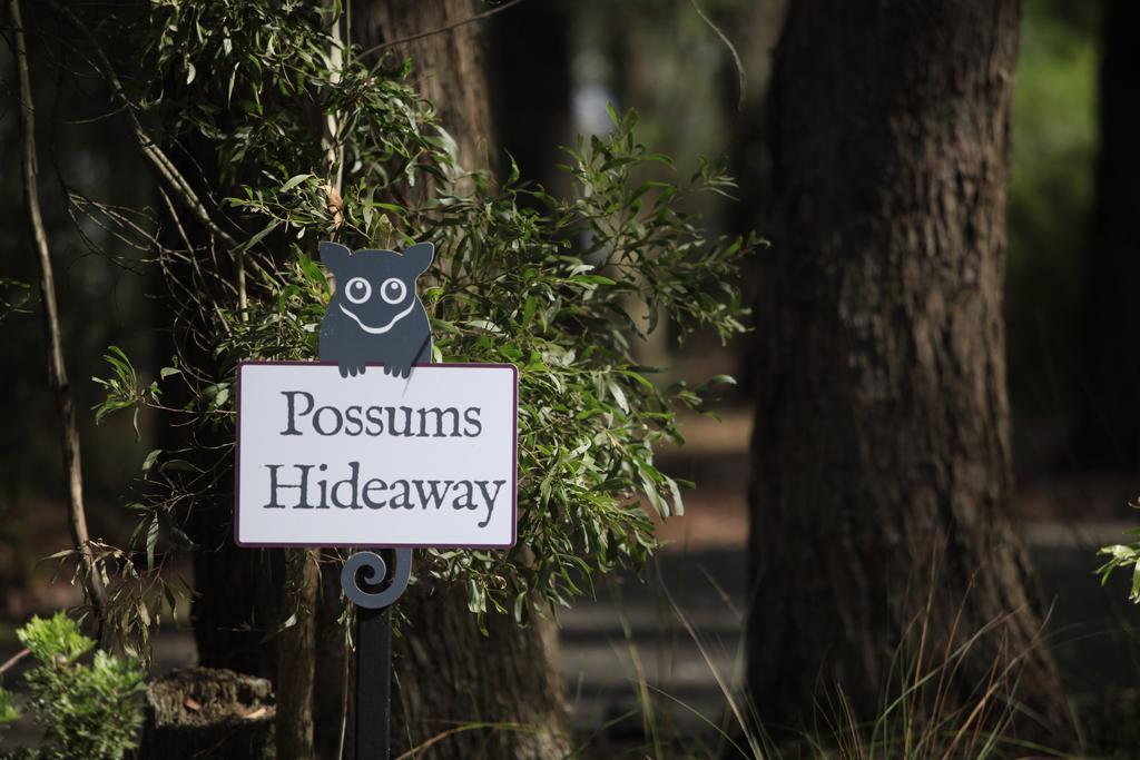 Federation Gardens & Possums Hideaway Villa Blackheath Kültér fotó