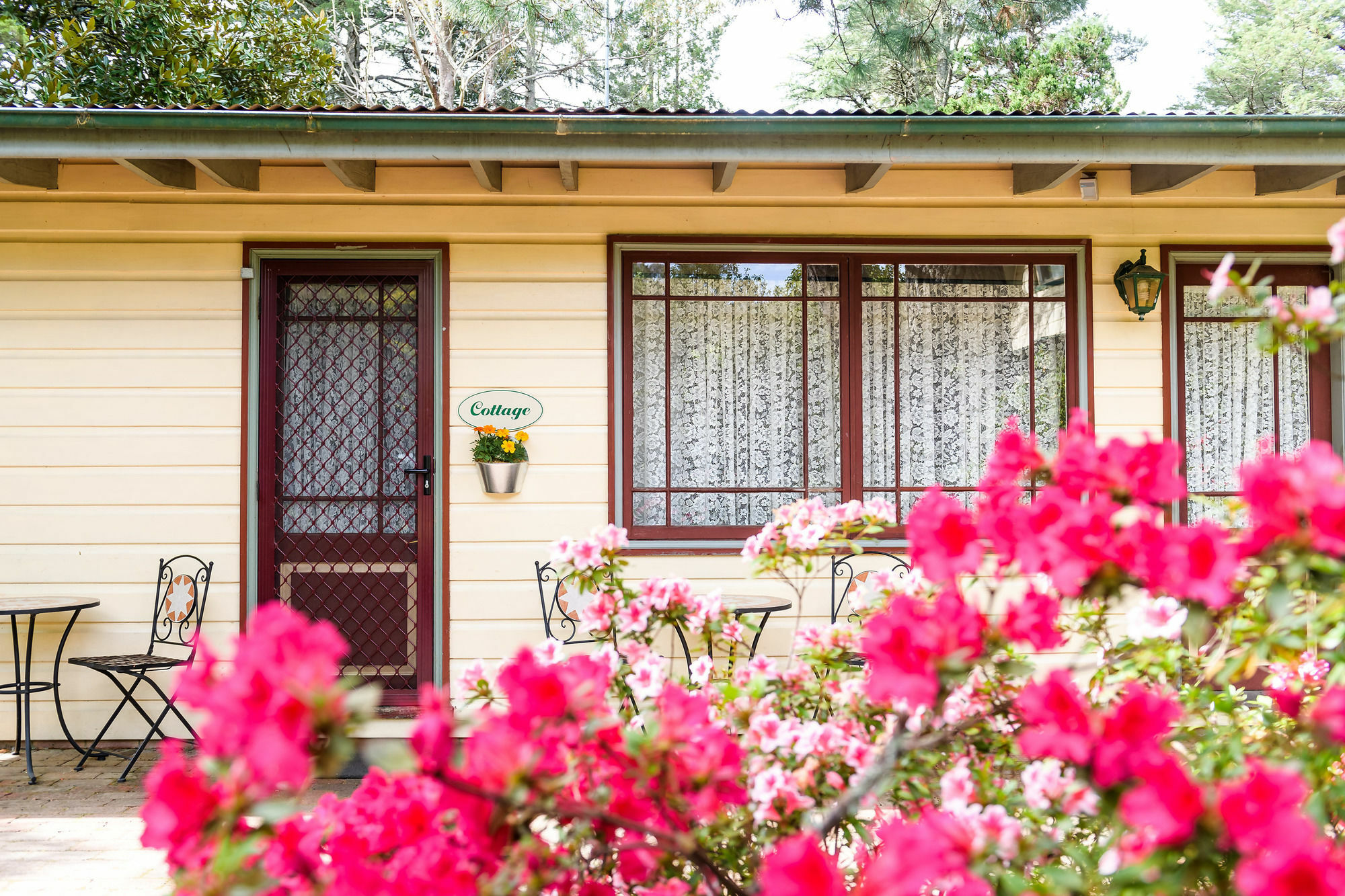 Federation Gardens & Possums Hideaway Villa Blackheath Kültér fotó